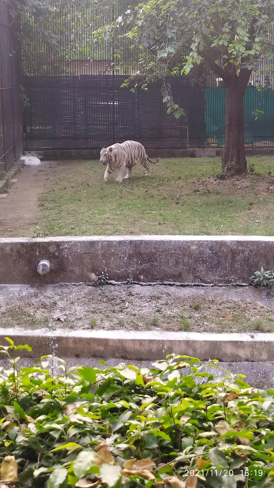 Elephant Stable