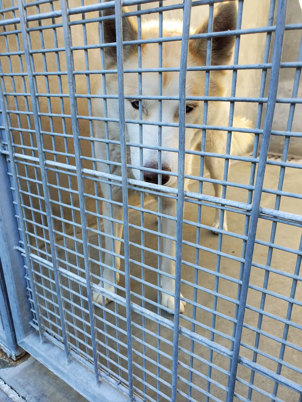 West Valley Animal Shelter