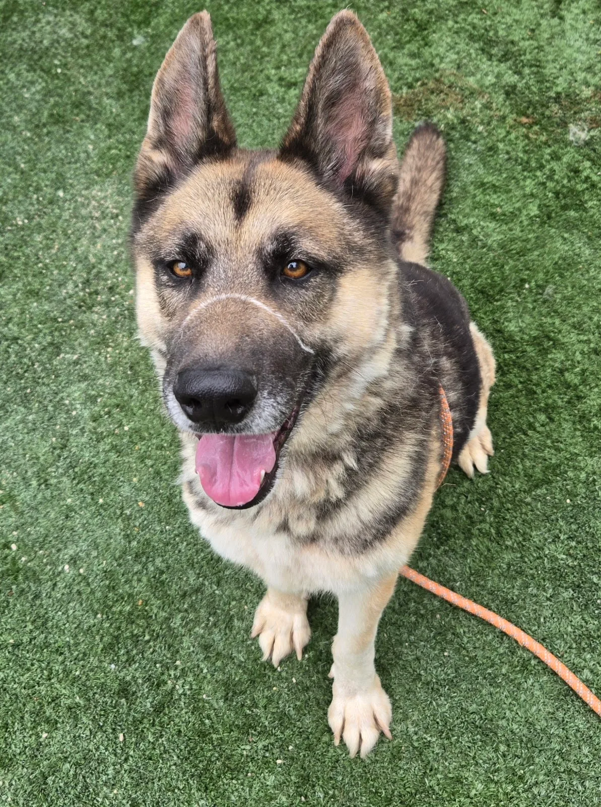 West Valley Animal Shelter