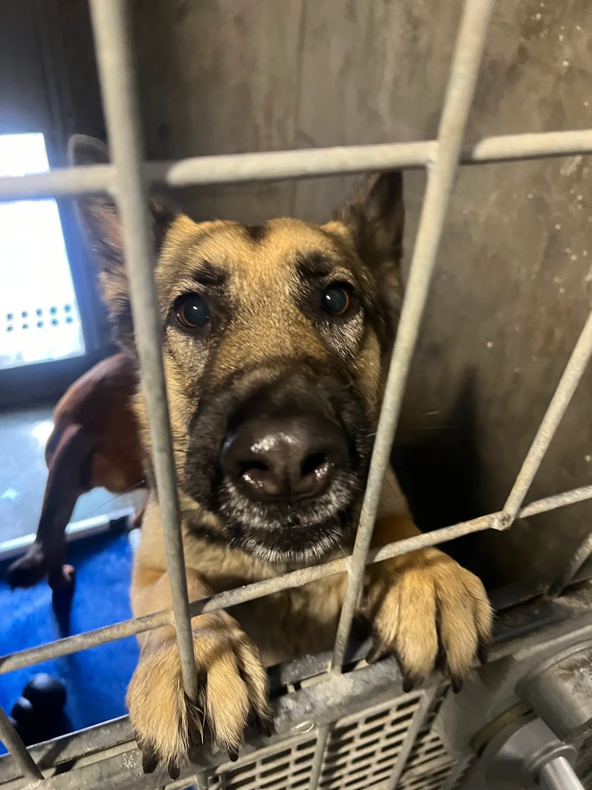 West Valley Animal Shelter
