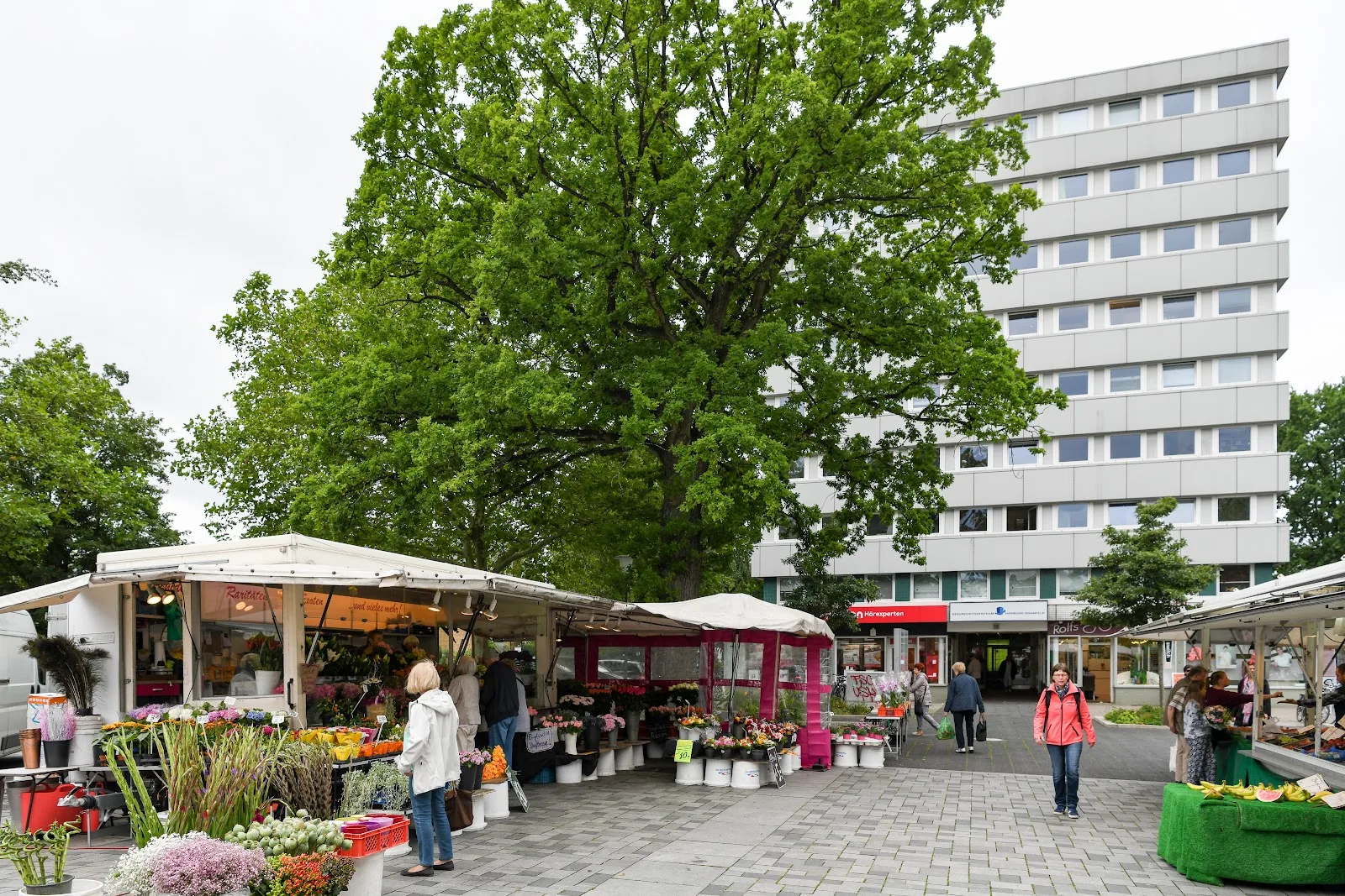 Gesundheitszentrum Hamburg-Bramfeld e.V.