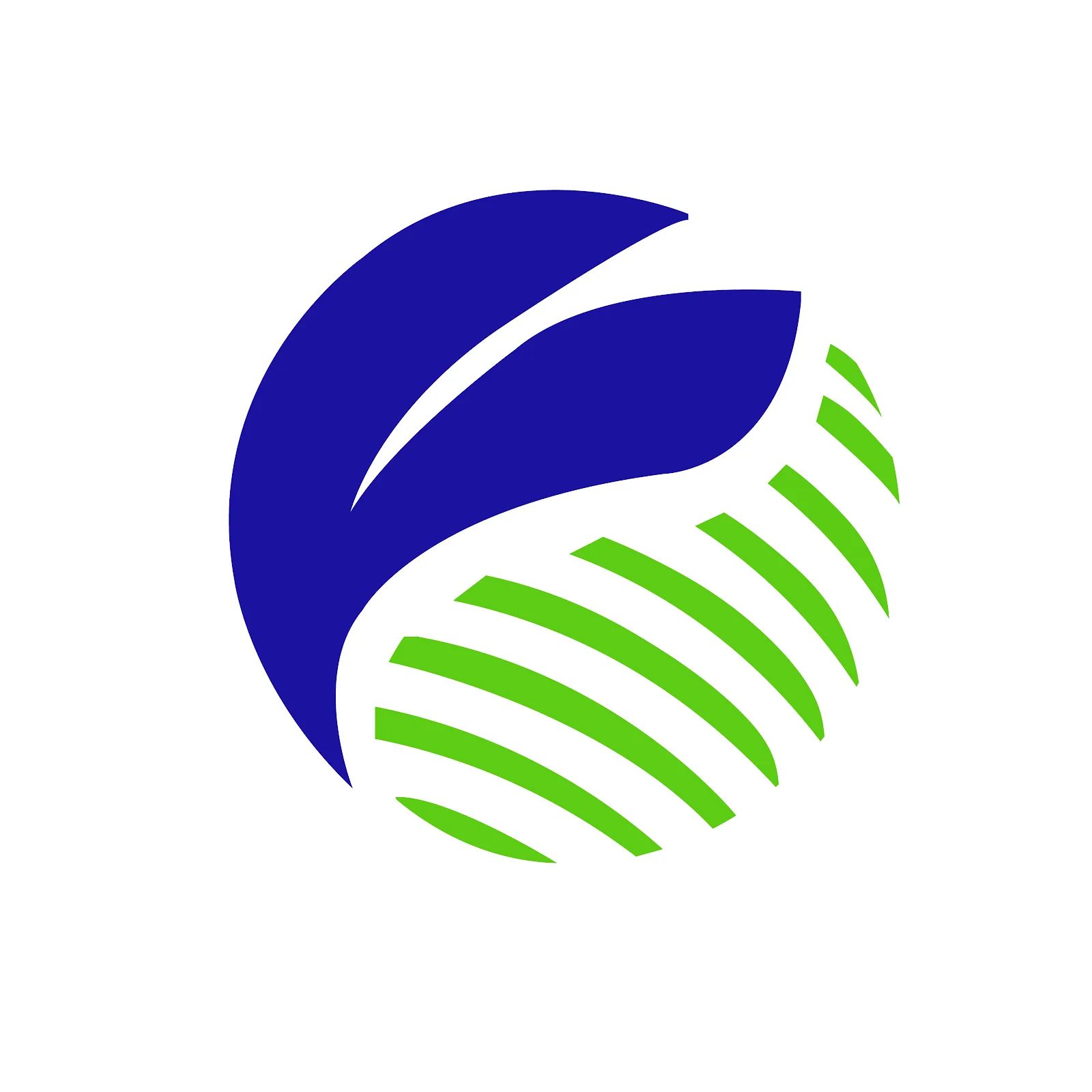 Blue Mount Group