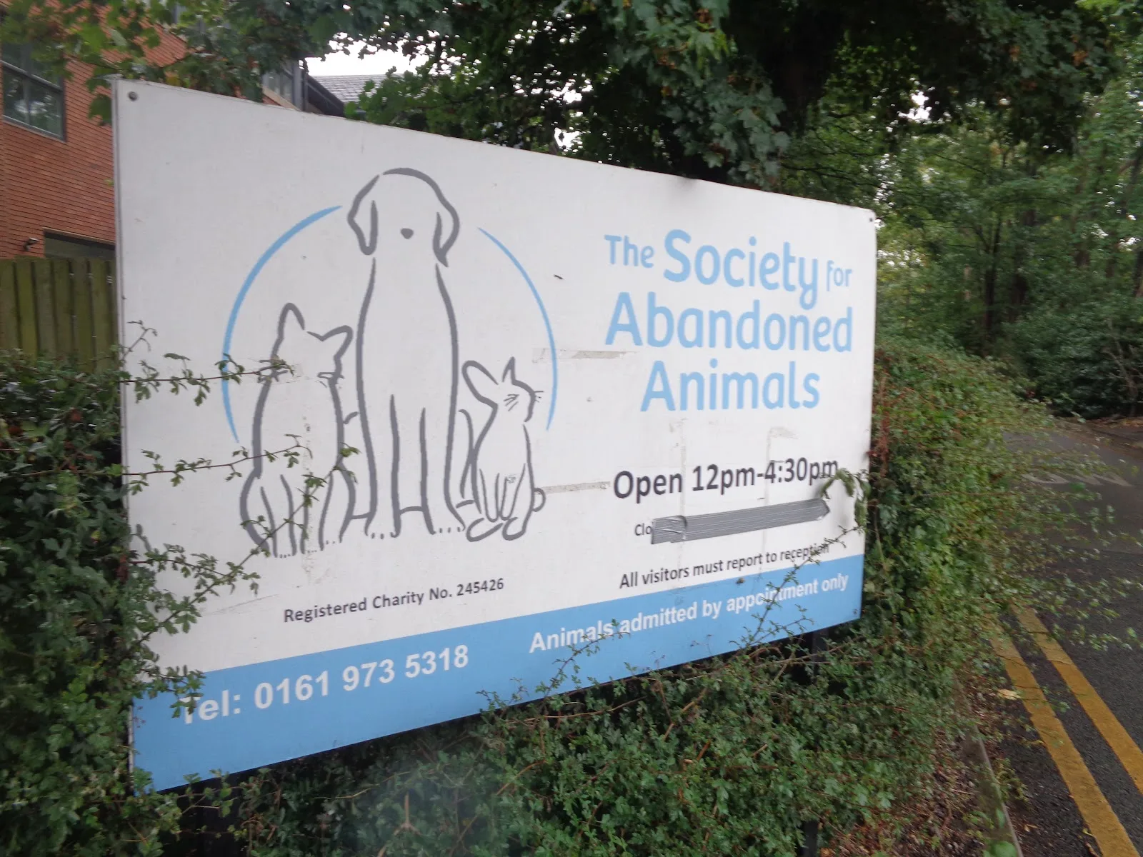 Society for Abandoned Animals