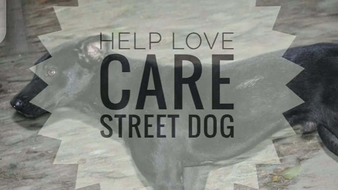 HELP LOVE CARE STREET DOG
