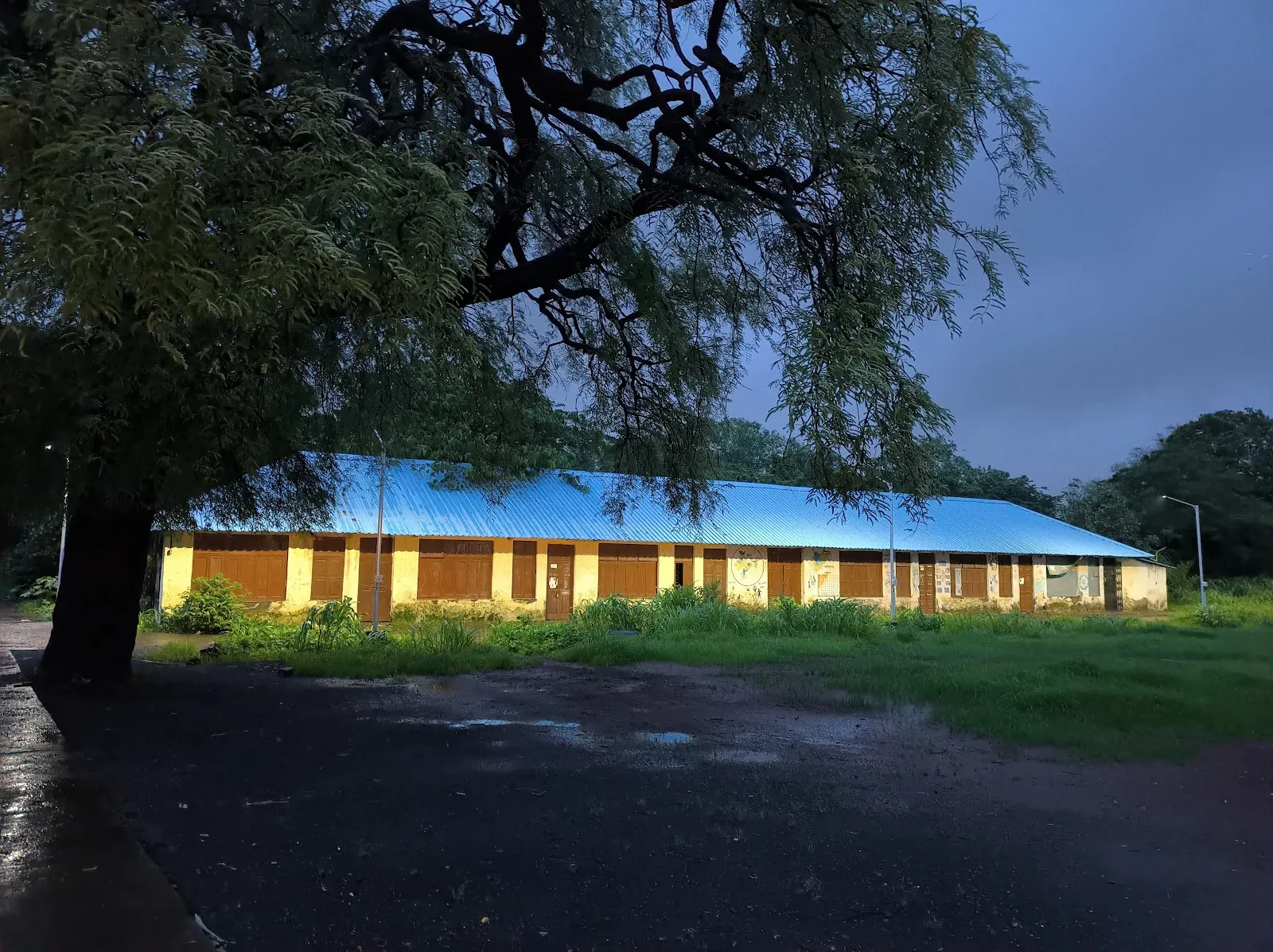 The Childrens home