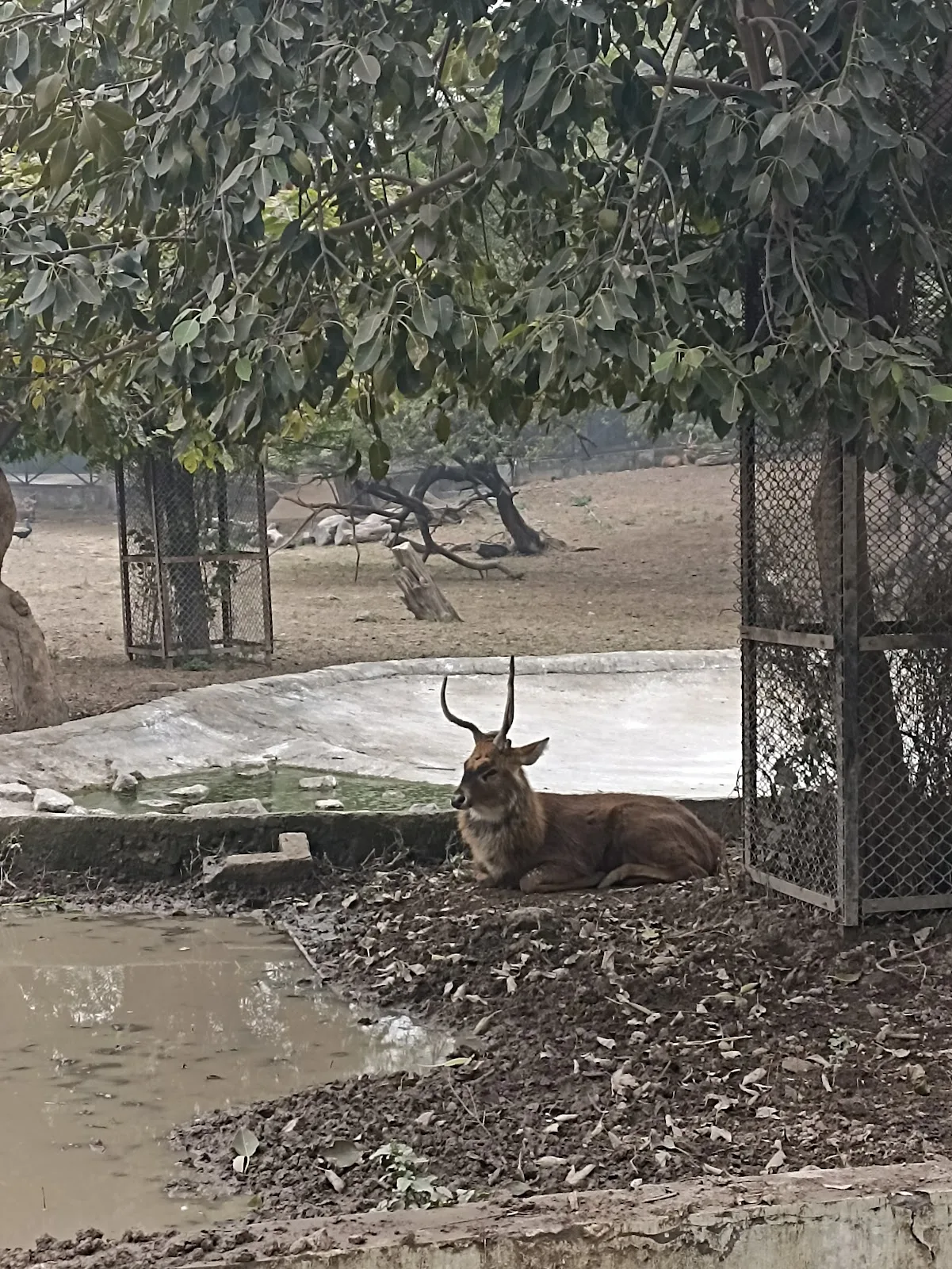 Zoology Park