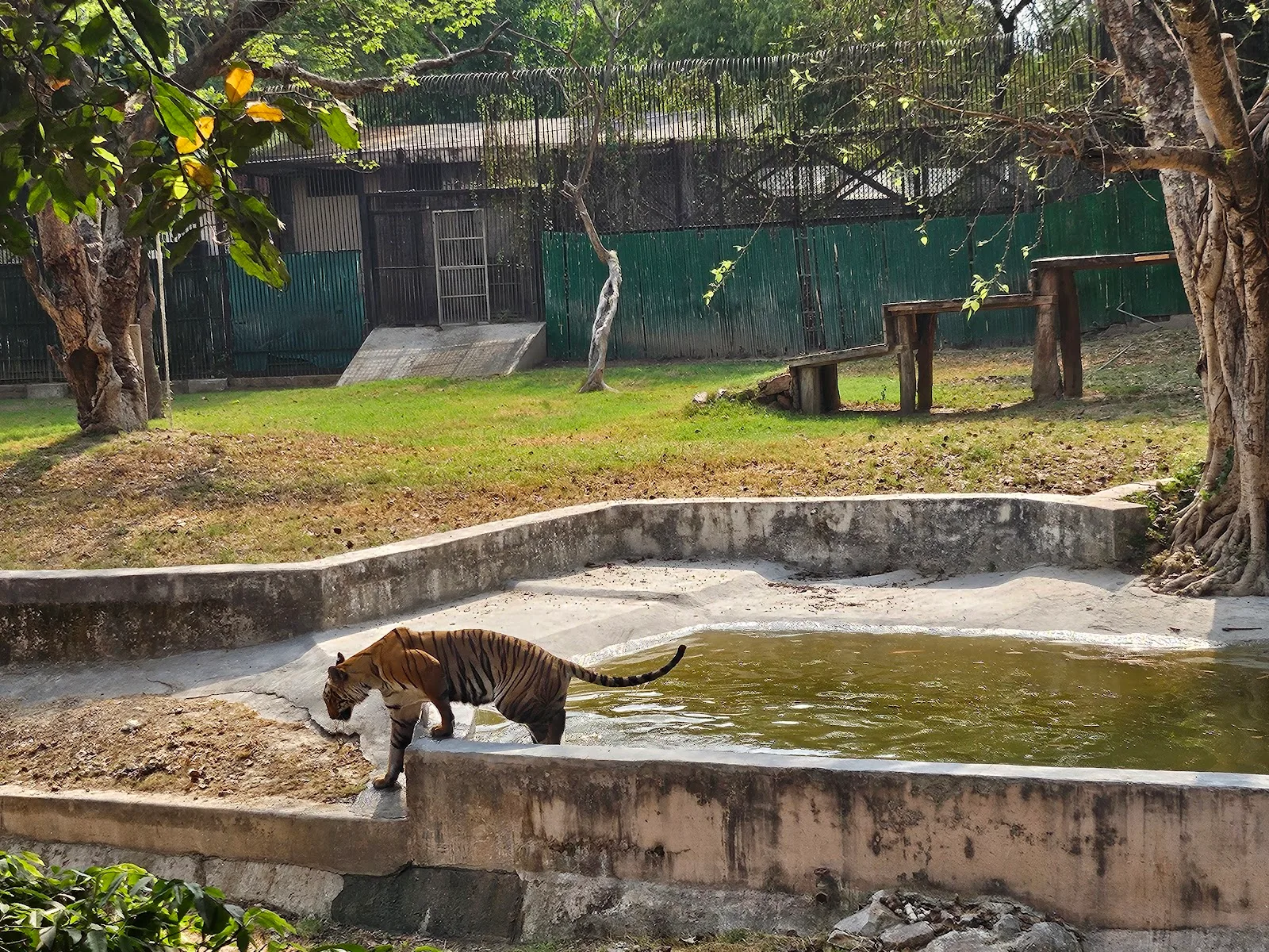 Zoology Park