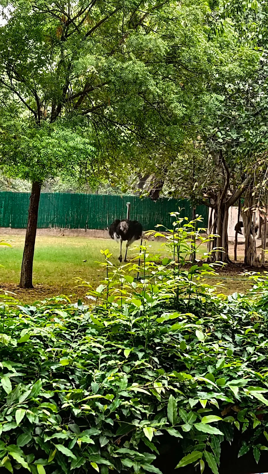Zoology Park