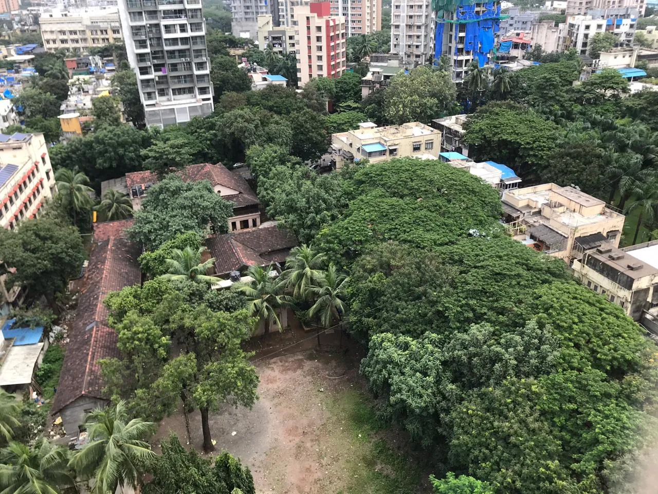 The Society for the Protection of Children in Western India