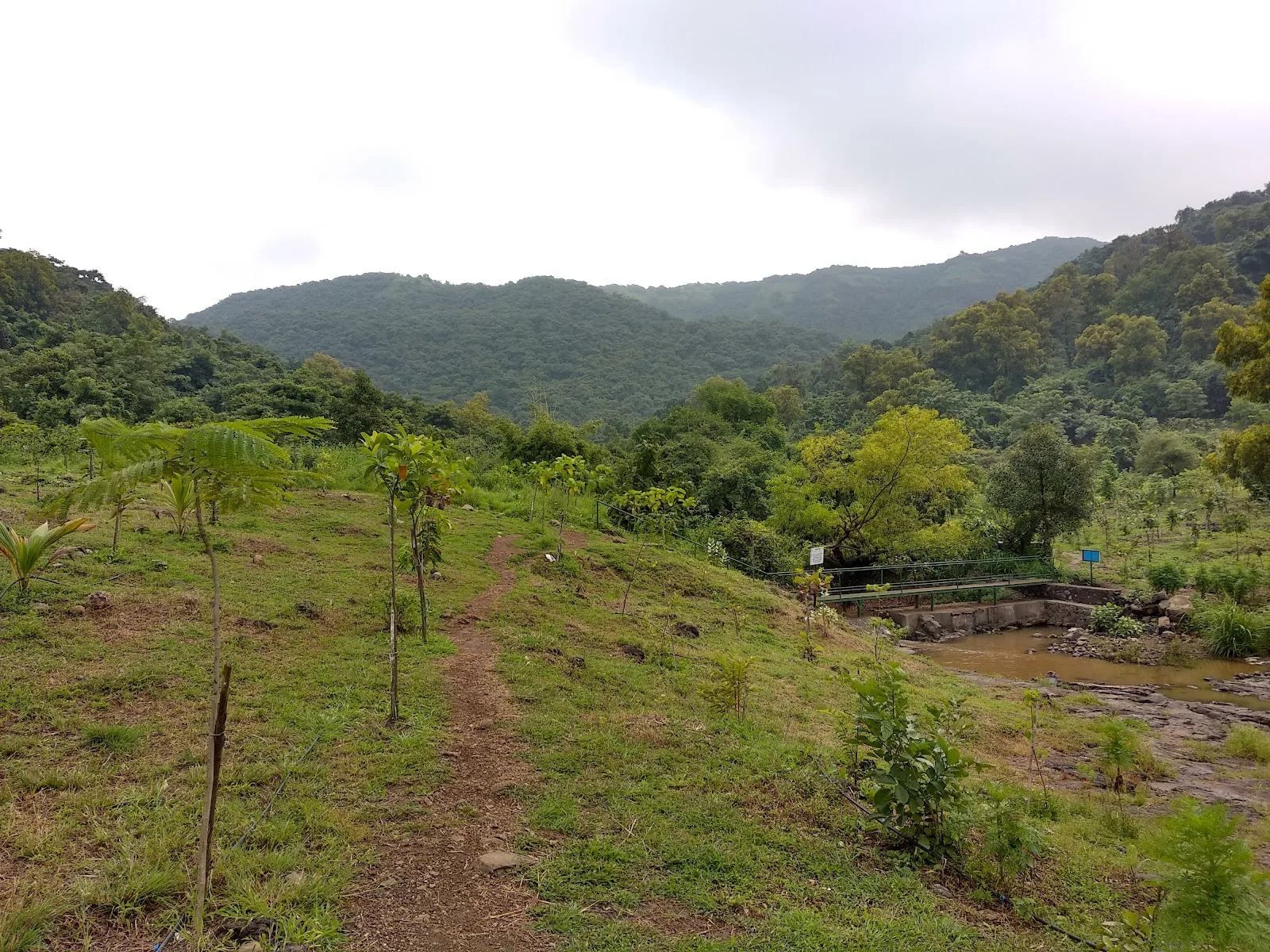 Hariyali