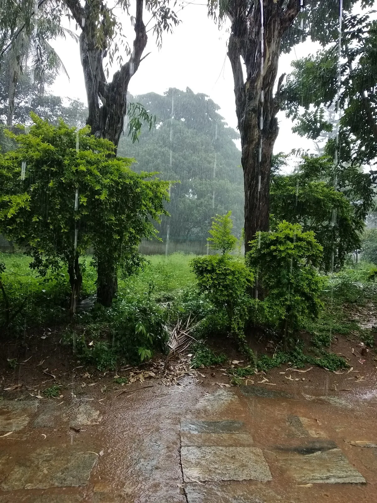 Vinoba Bhave Ashrama