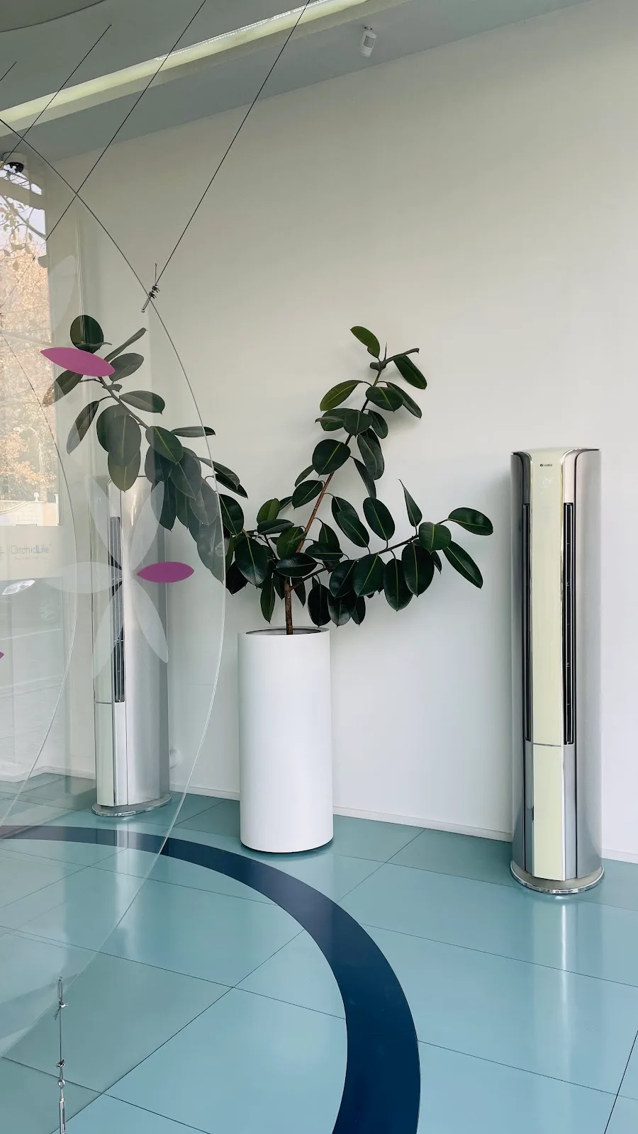 Orchid Life