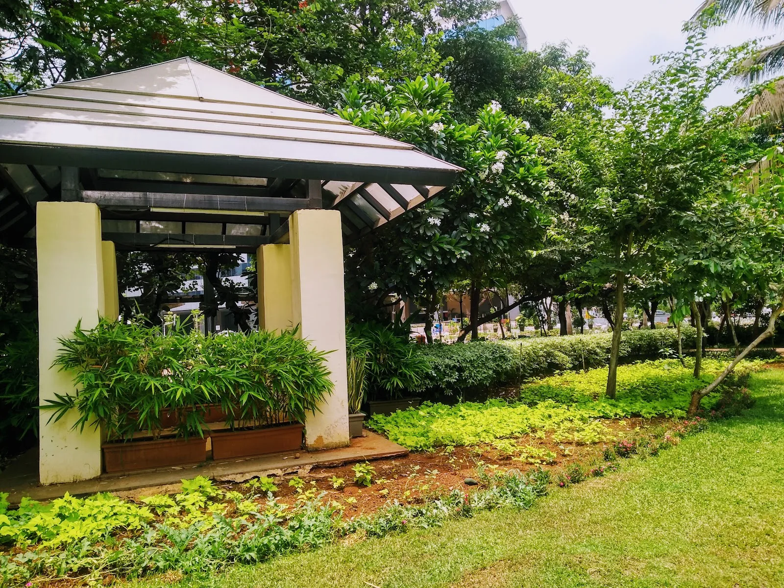 Gebbs Healthcare Solutions Mumbai