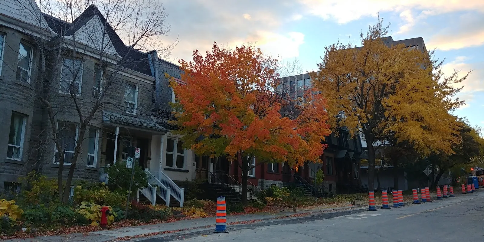 Centre Greene