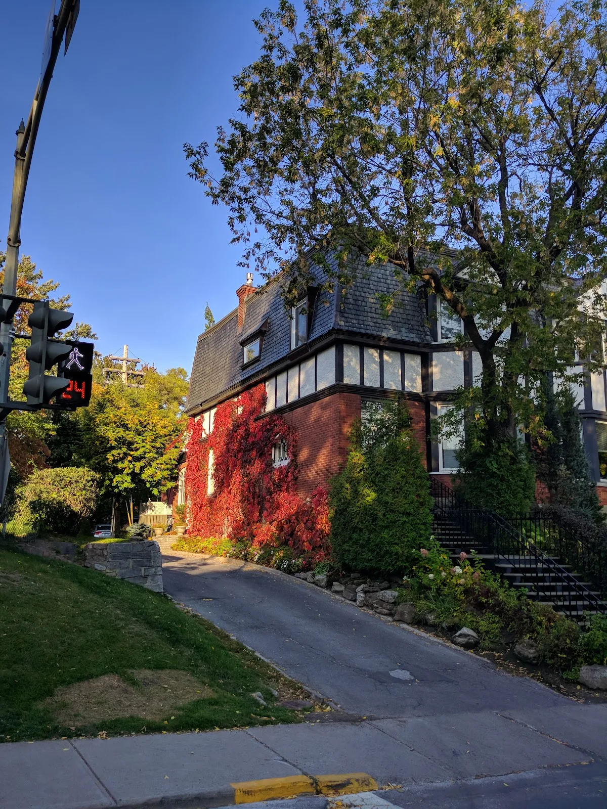 Centre Greene