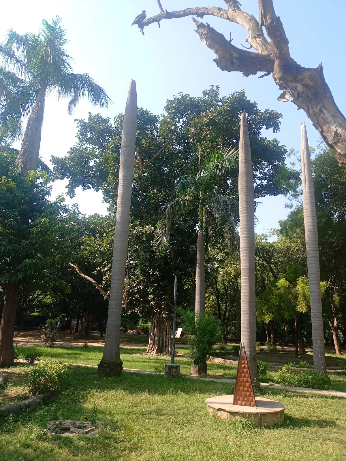 Bapu Park Kotla Mubarakpur