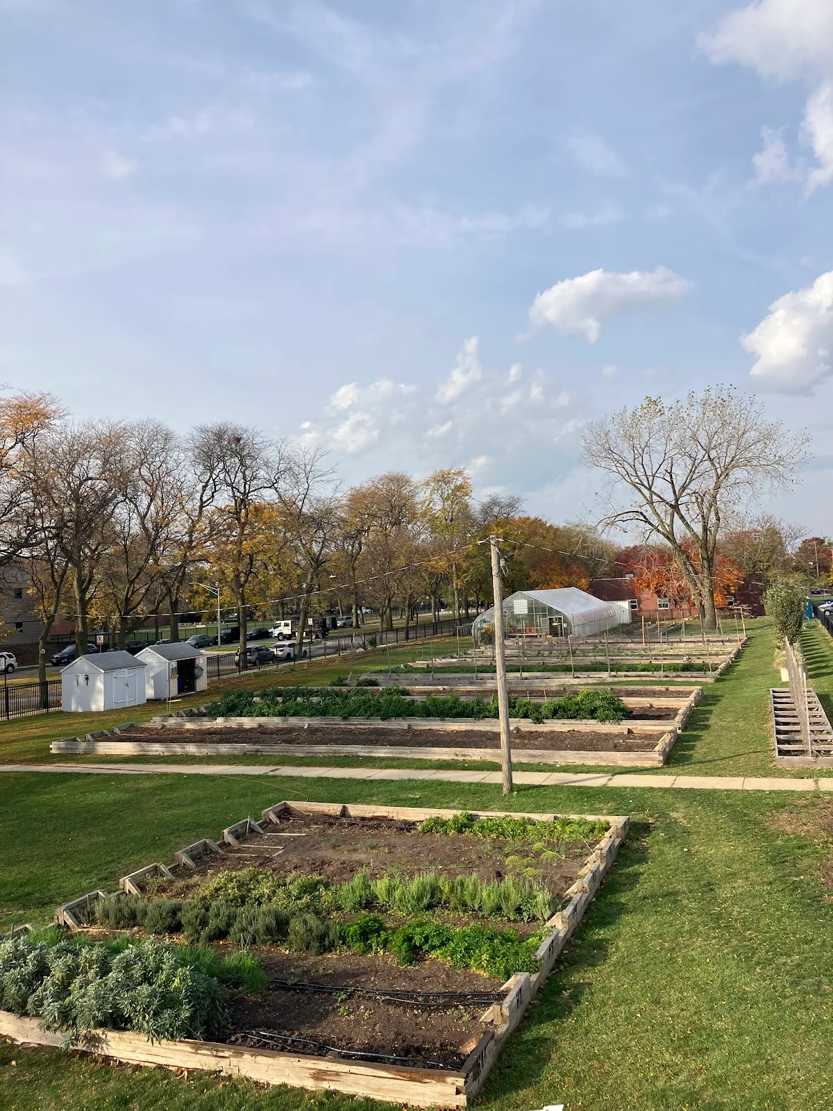 Growing Solutions Farm