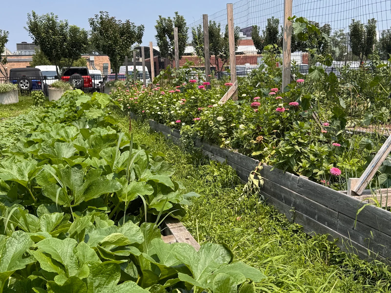 Growing Solutions Farm
