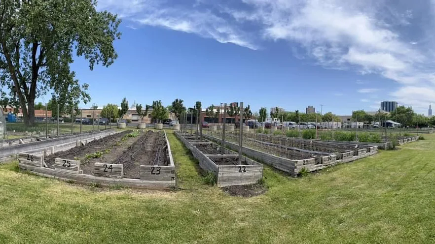 Growing Solutions Farm