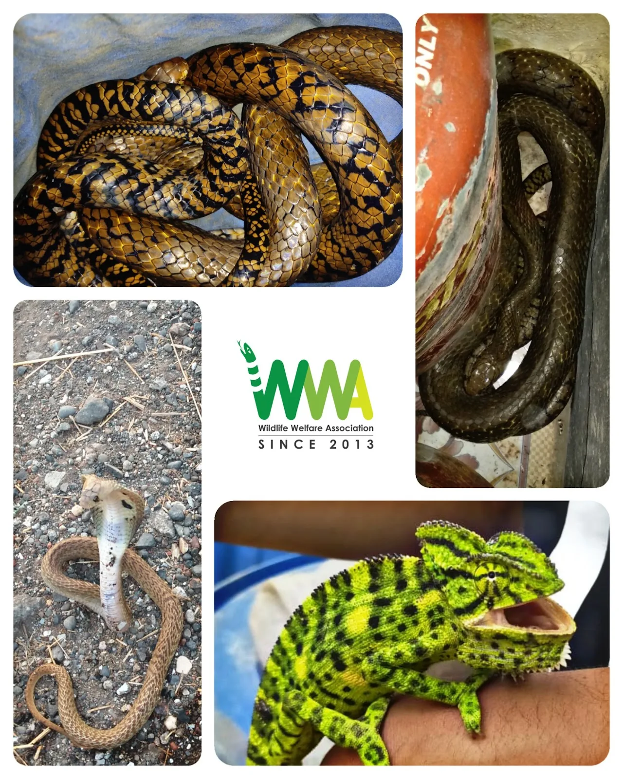 WWA Rehabilitation Center