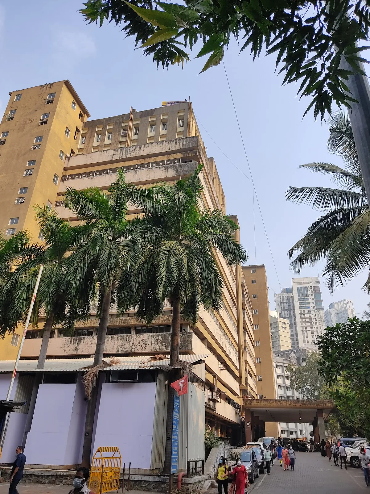 Topiwala National Medical College & B. Y. L. Nair Charitable Hospital