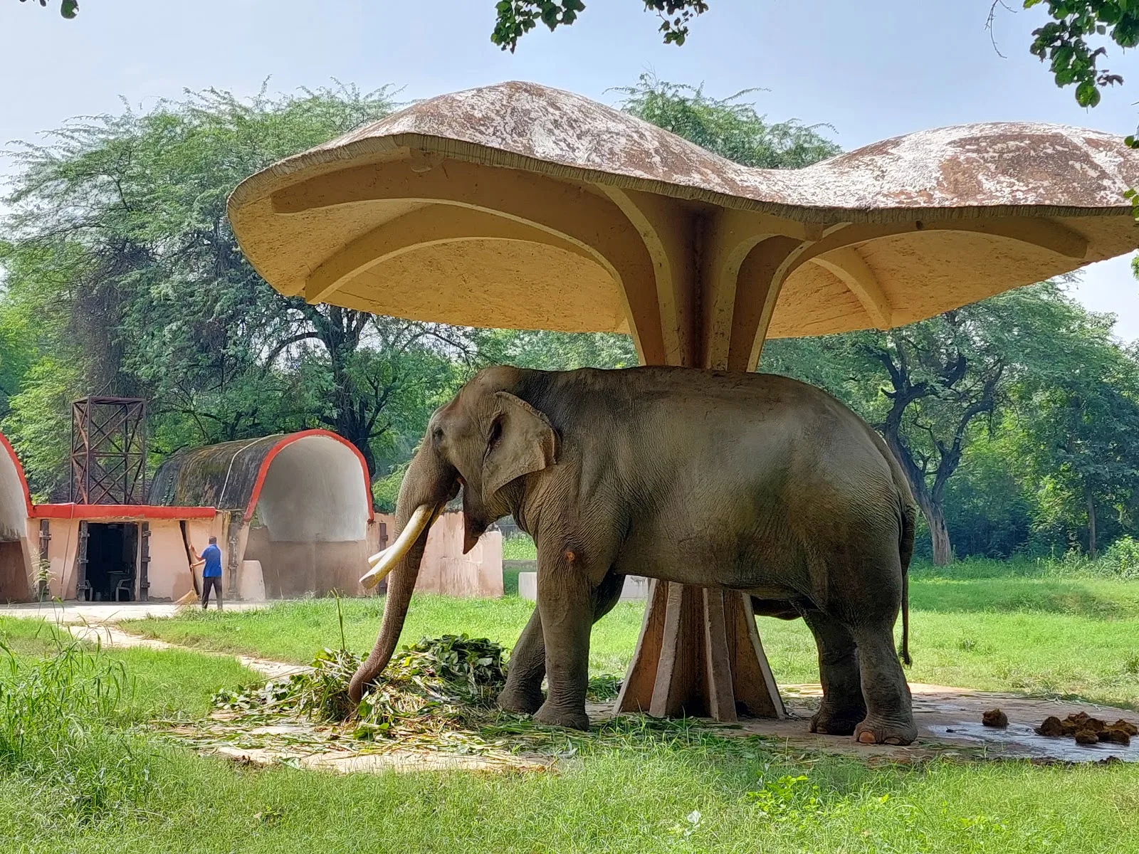 National Zoological Park, Delhi