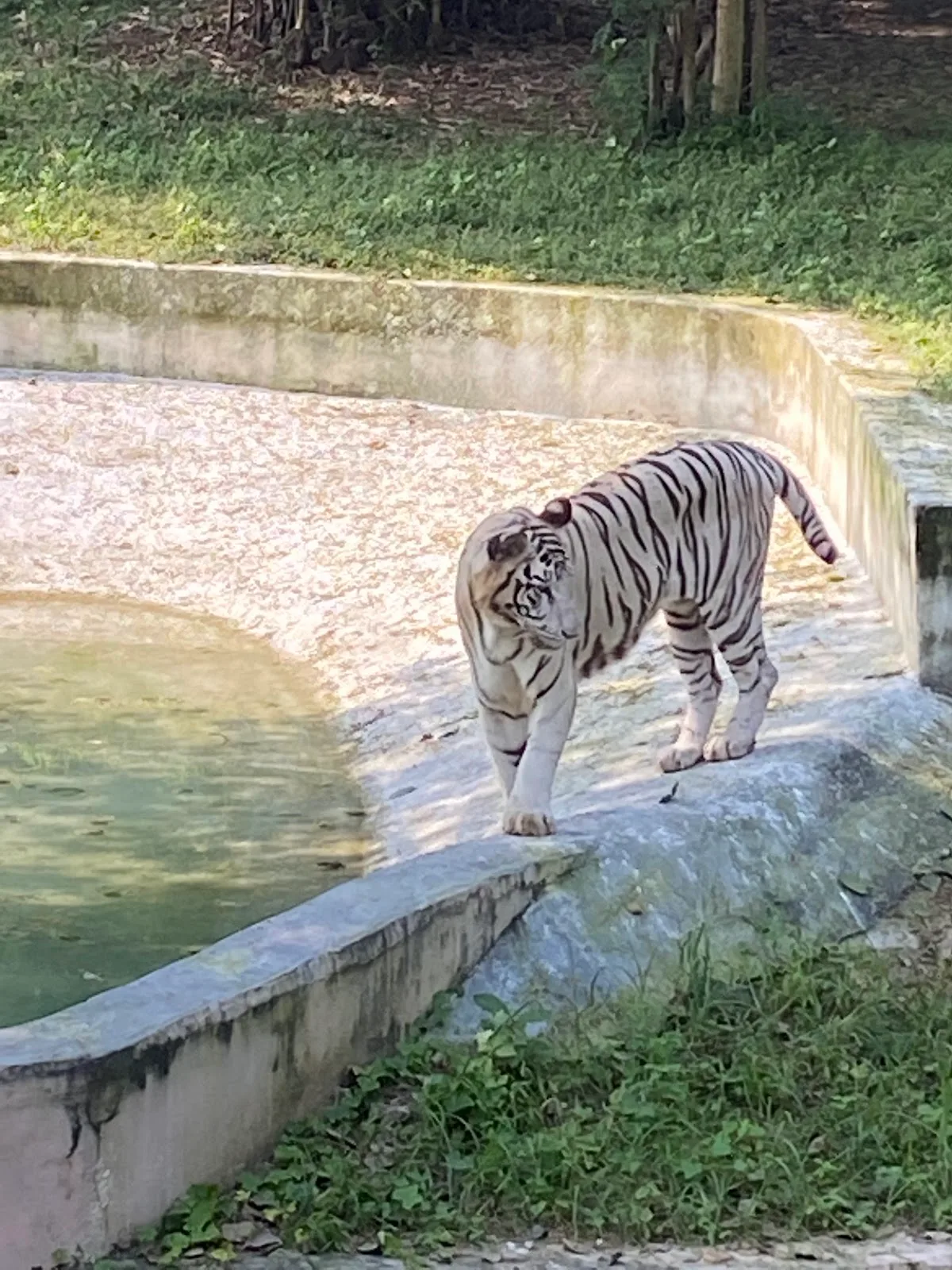 National Zoological Park, Delhi