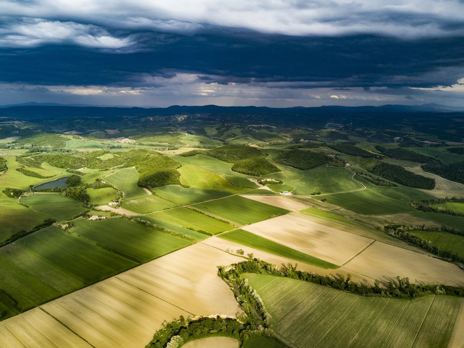 Queensland Farmers' Federation