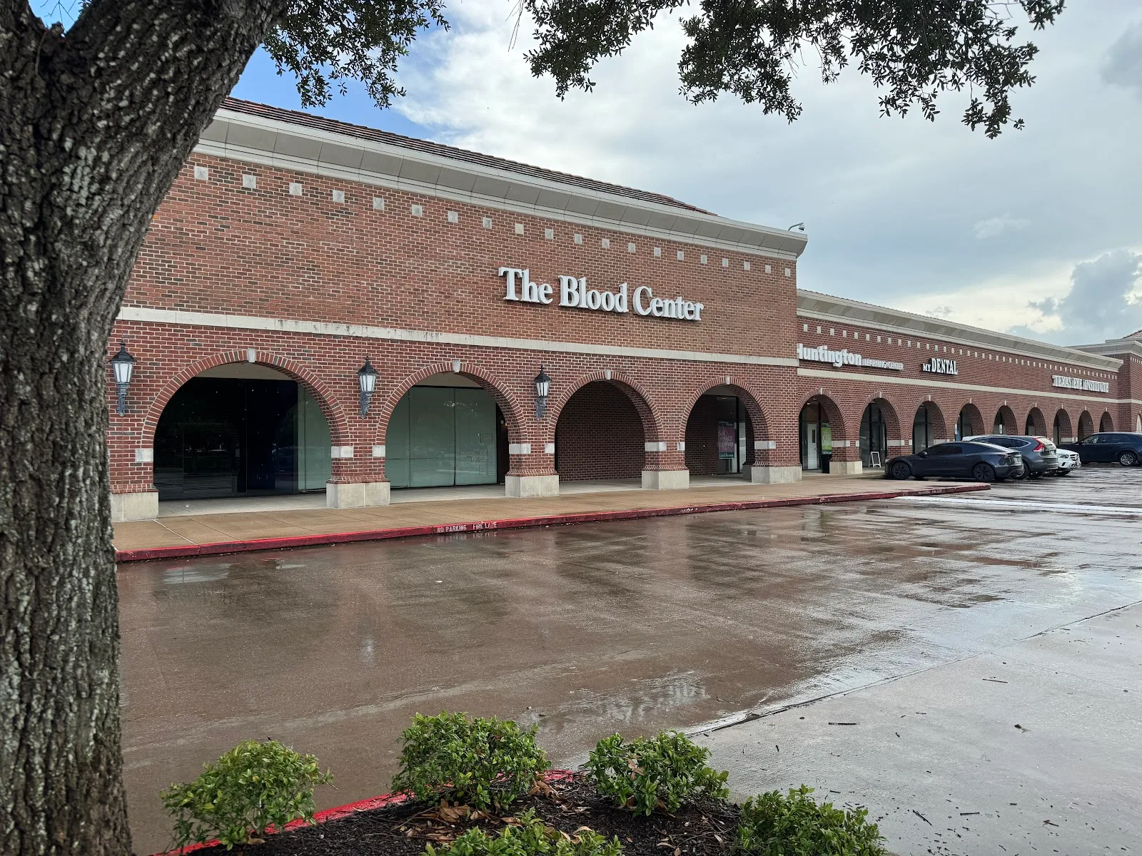 Gulf Coast Blood - Sugar Land
