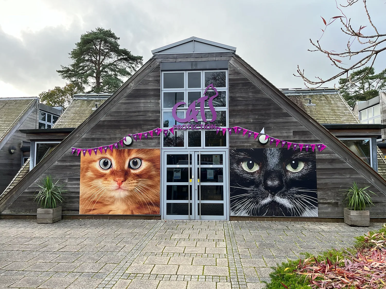 Cats Protection - United Kingdom National Cat Centre