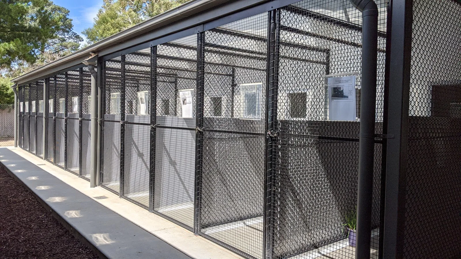 Blue Cross Animals Society of Victoria