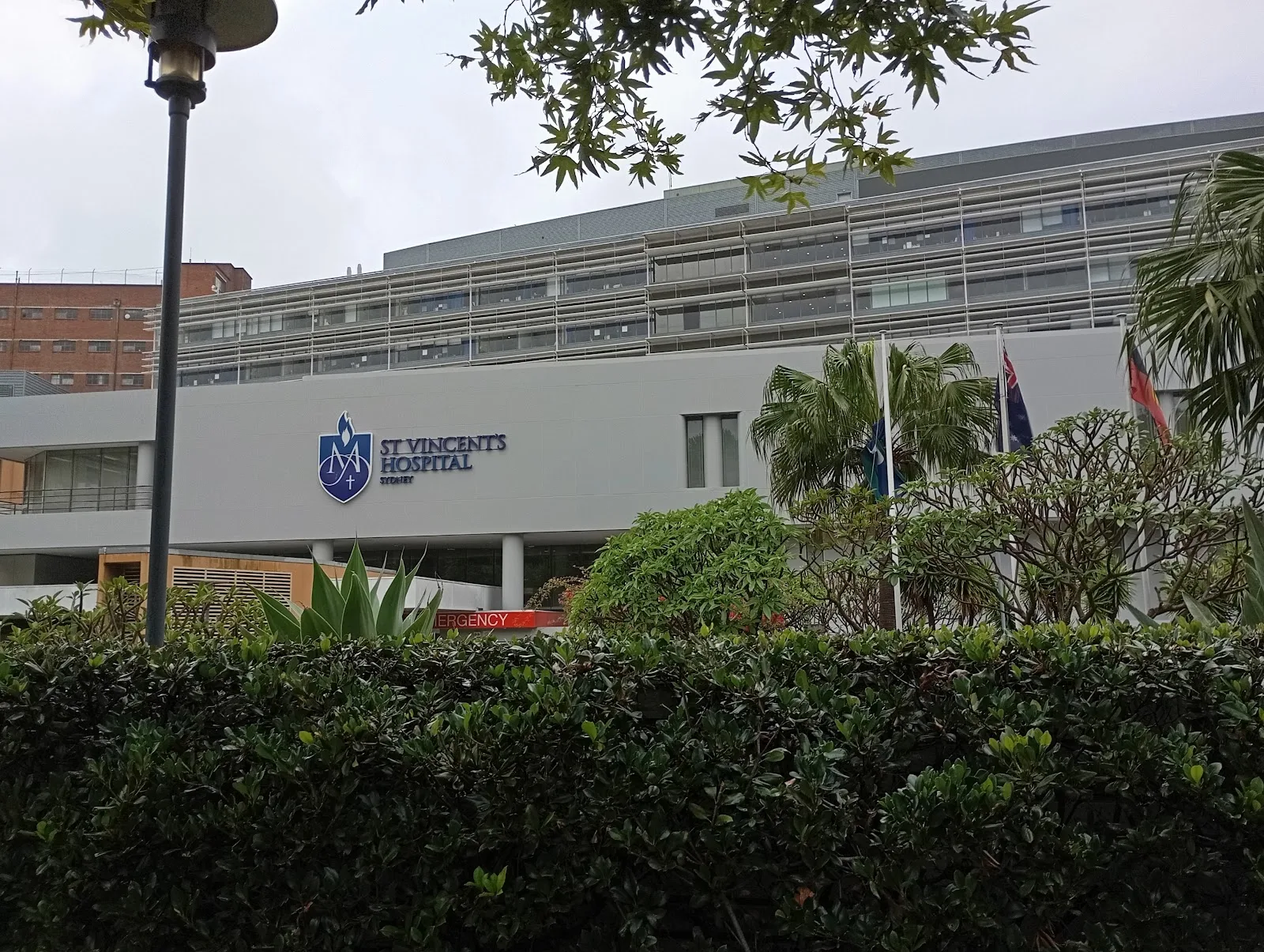 St Vincent's Hospital Sydney