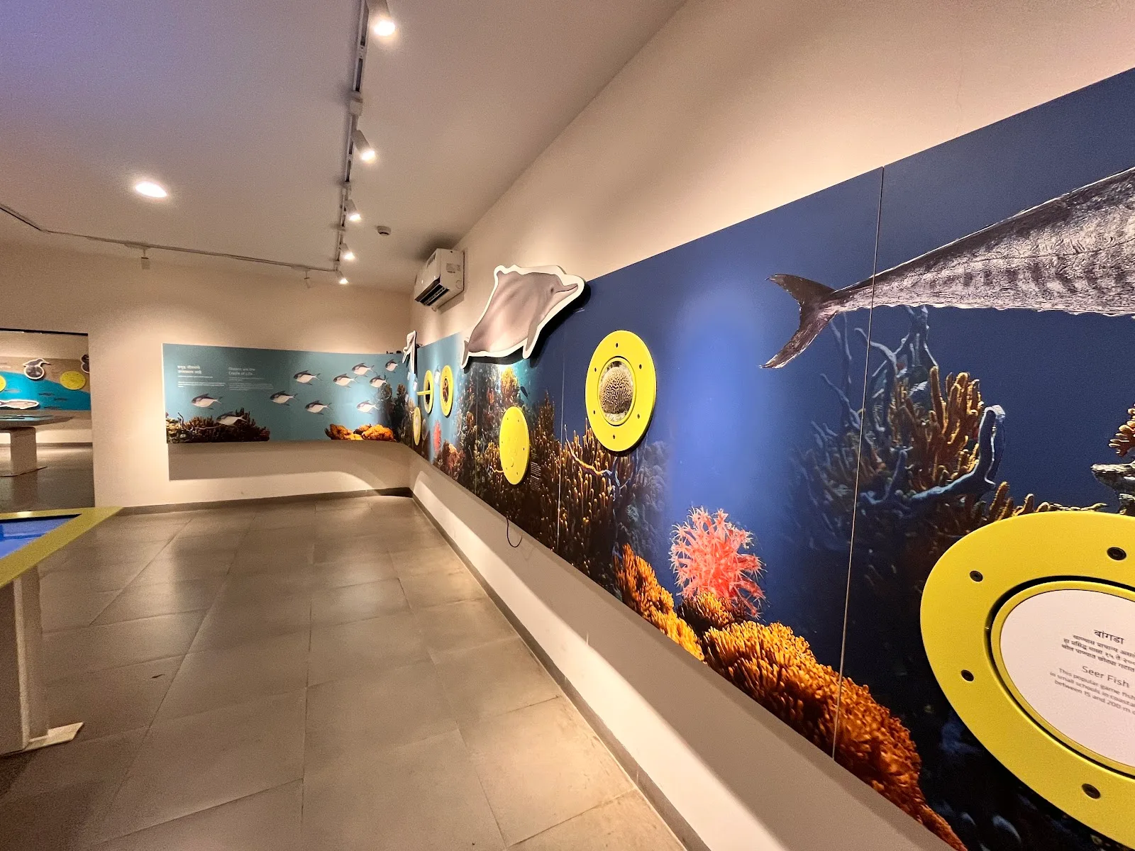 Coastal & Marine Biodiversity Centre, Diva koliwada