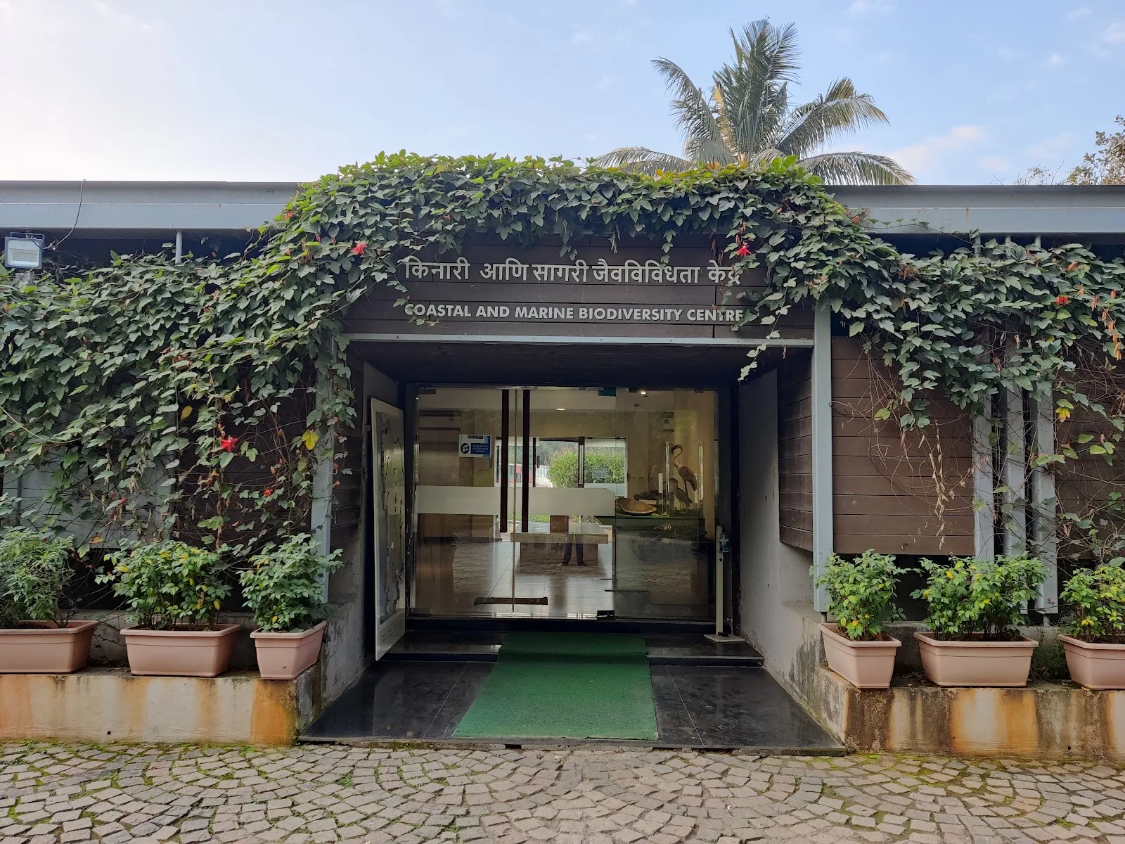 Coastal & Marine Biodiversity Centre, Diva koliwada