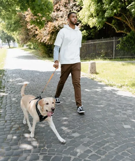 SS Dog Walker & Boarding Centre
