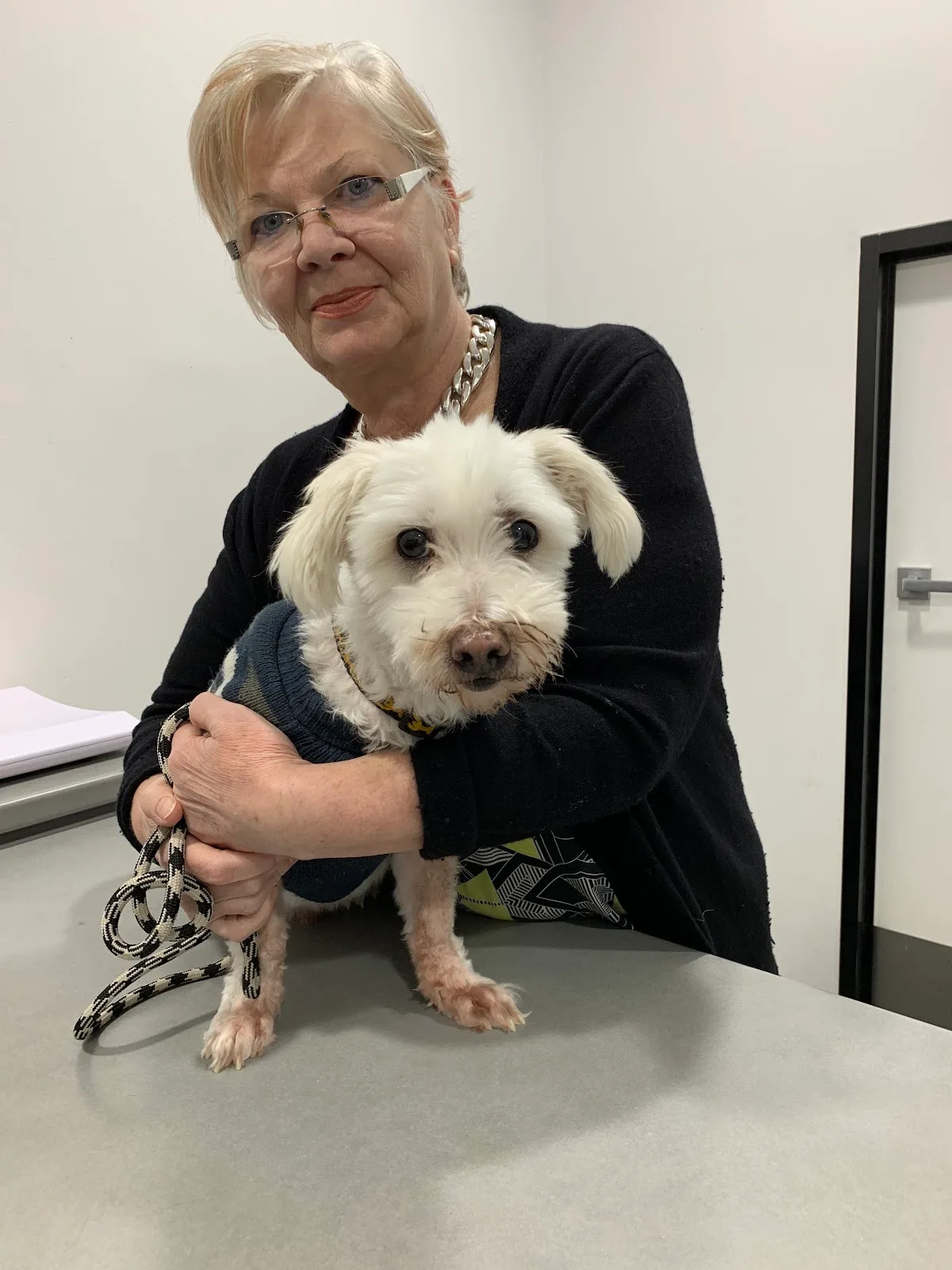Pet Medical Crisis
