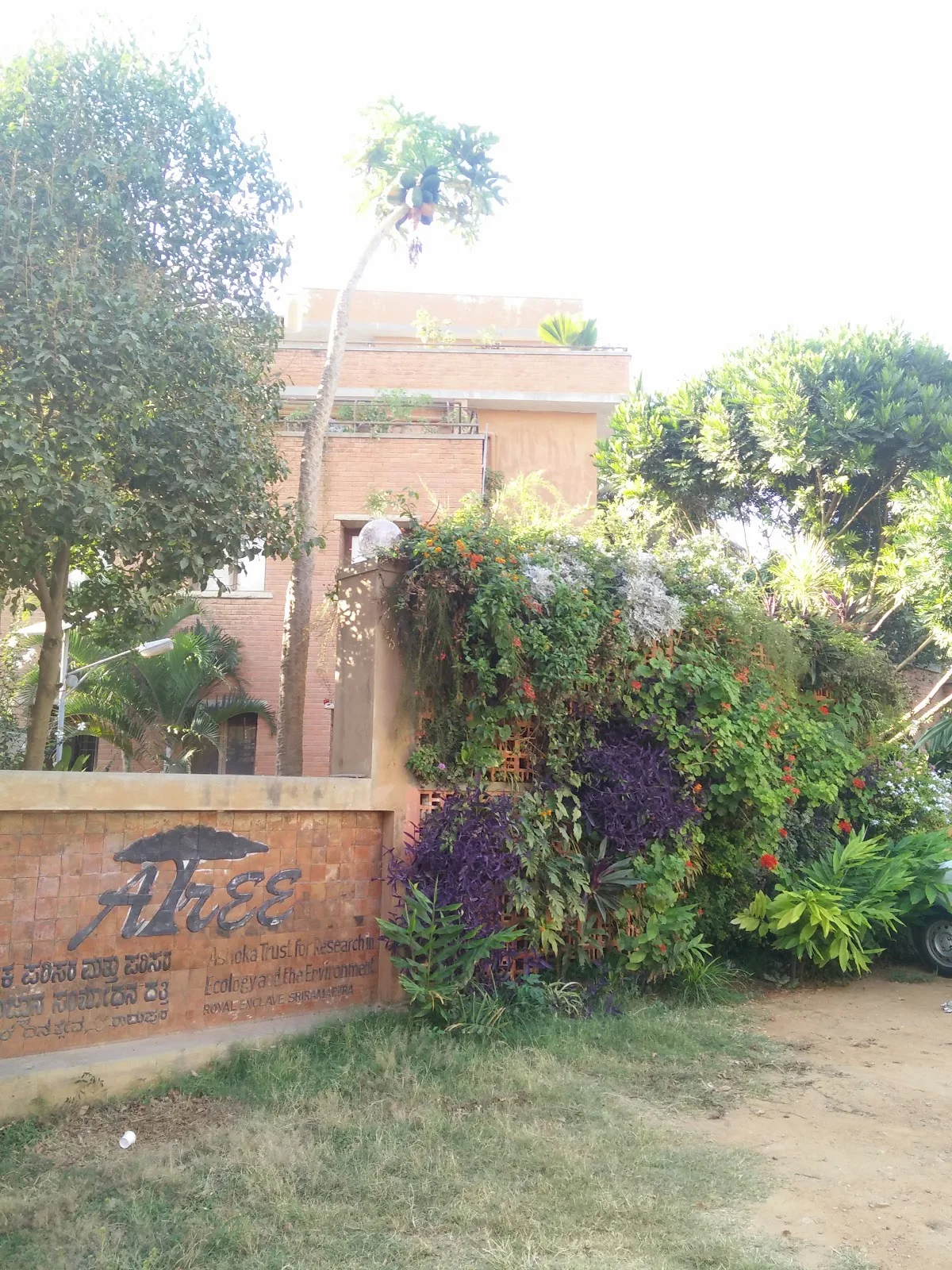 Ashoka Trust For Research In Ecology And The Environment