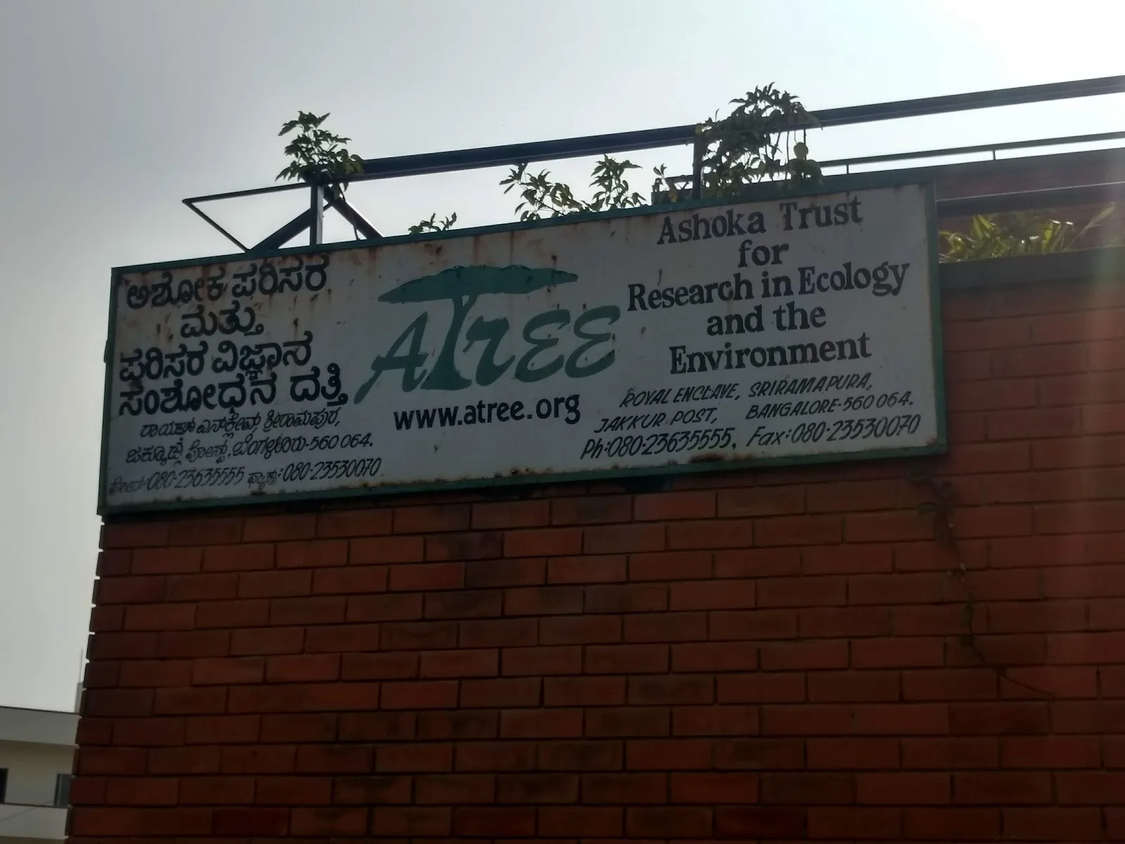 Ashoka Trust For Research In Ecology And The Environment