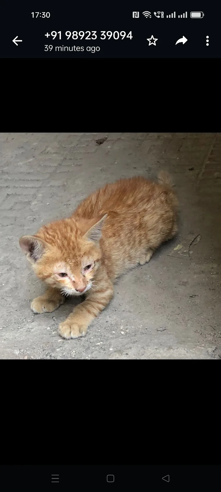 HOPE ANIMALS WELFARE FOUNDATION AND SHELTER