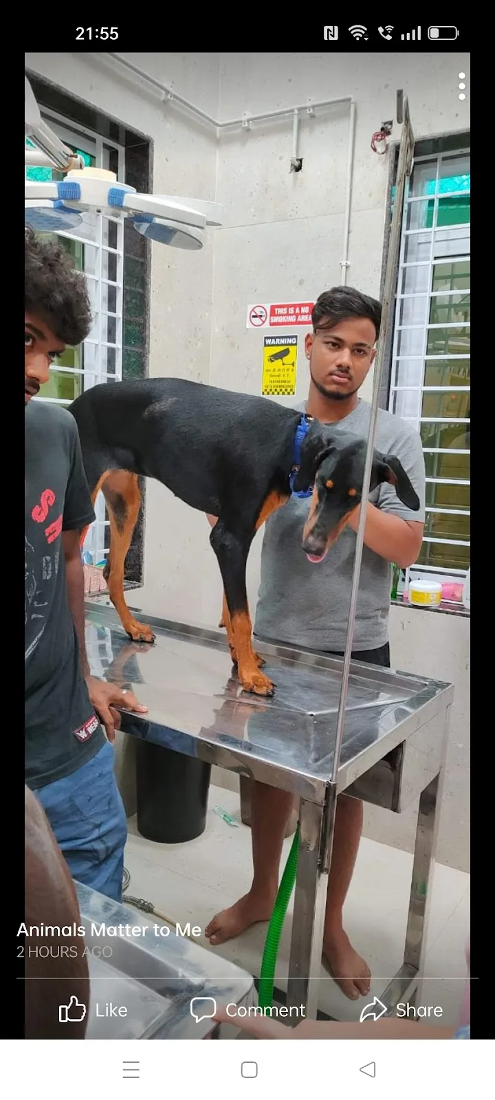 HOPE ANIMALS WELFARE FOUNDATION AND SHELTER