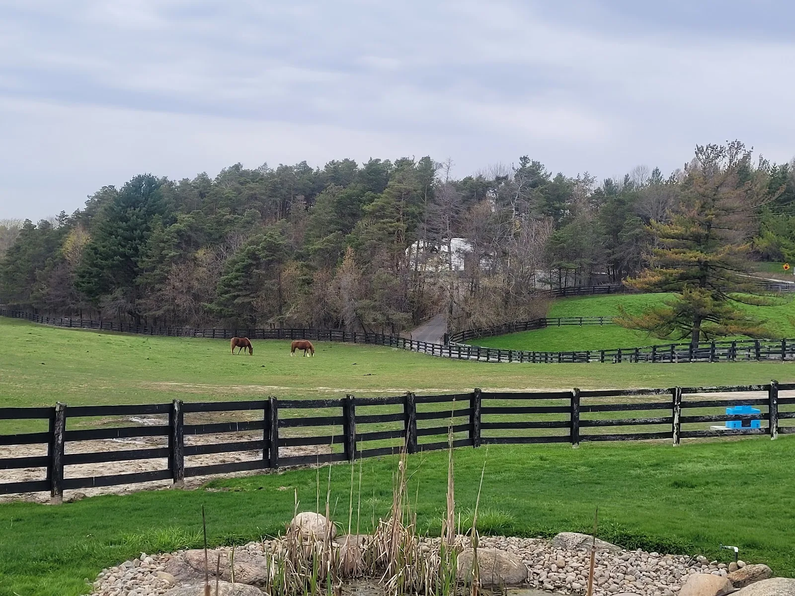 Dog Tales Rescue & Sanctuary