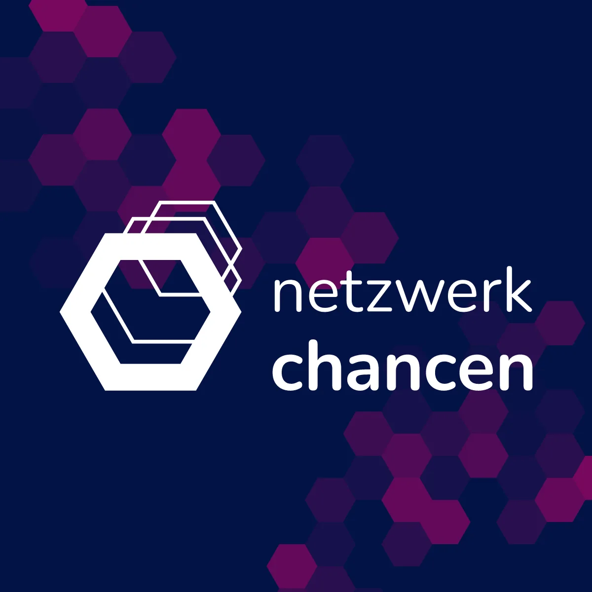 Netzwerk Chancen NC gGmbH