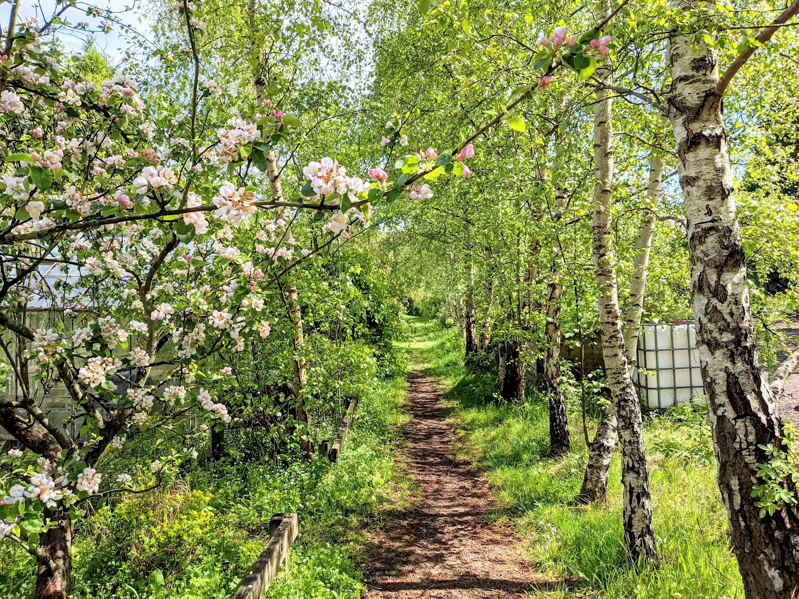 EcoPark Environmental Centre for Birmingham & Black Country Wildlife Trust