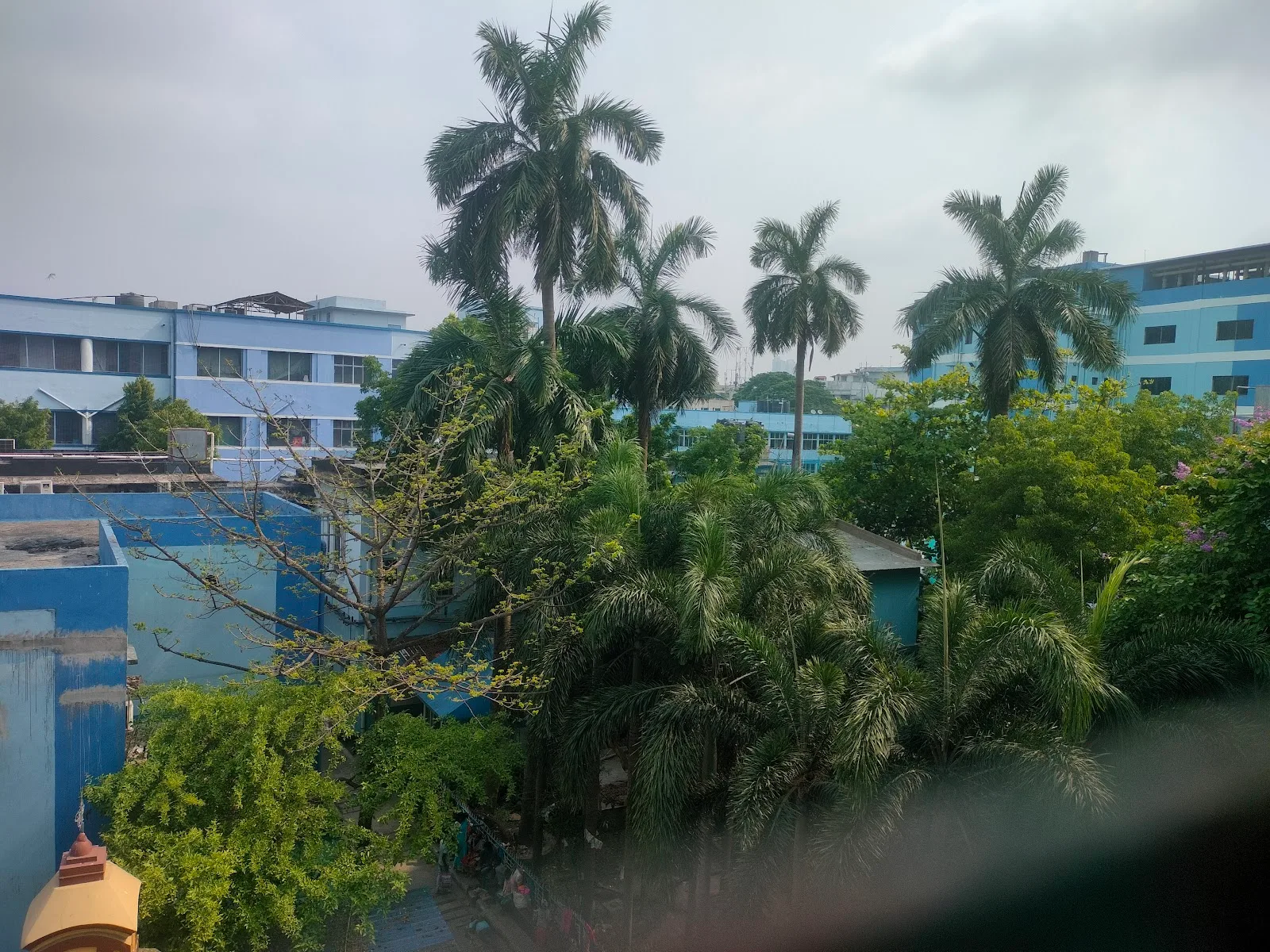 Chittaranjan National Cancer Institute Blood Bank