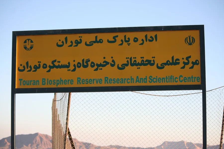 فنس دلبر گور ایرانی
