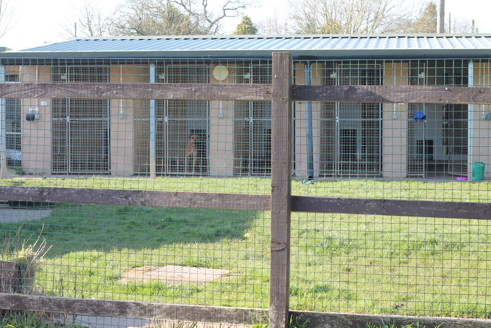 Wythall Animal Sanctuary