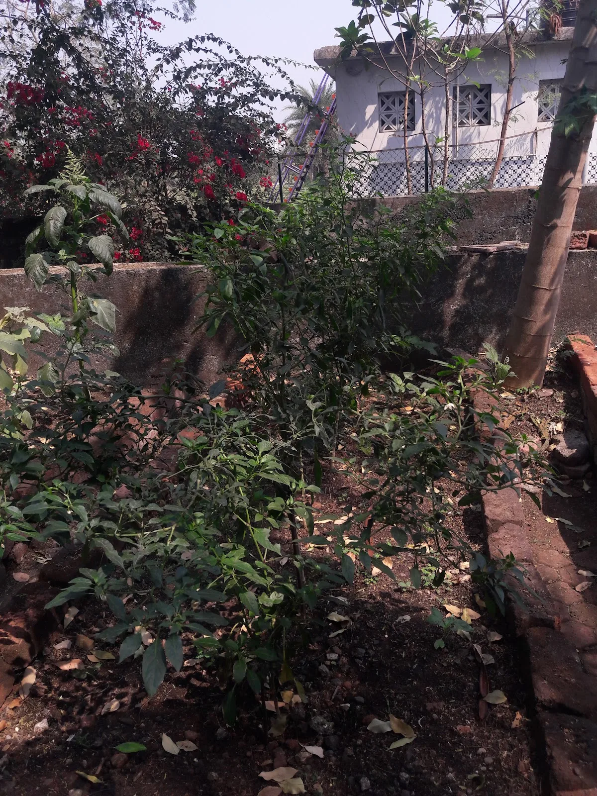 Enviro vigil office thane
