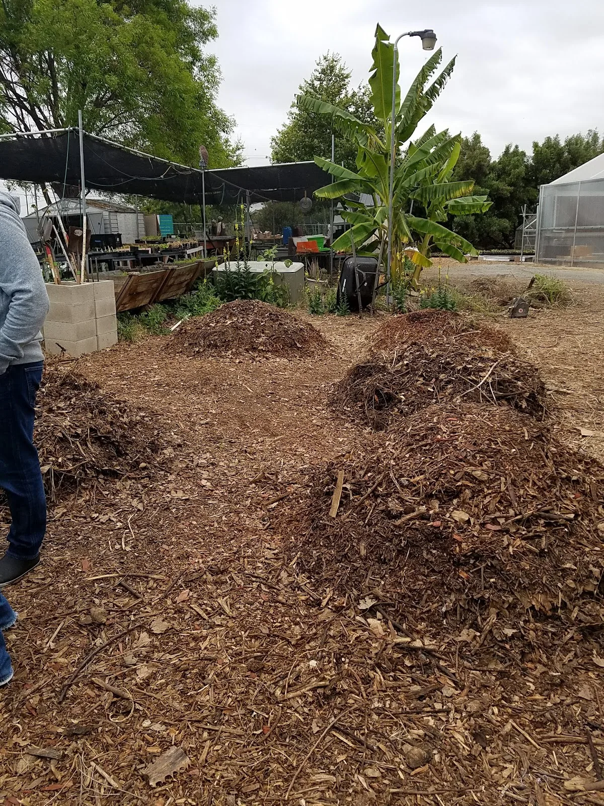 GrowGood Inc.