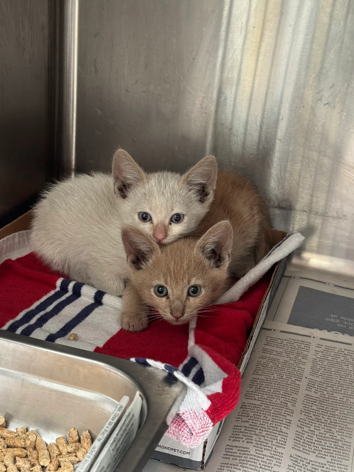 North Central Animal Shelter