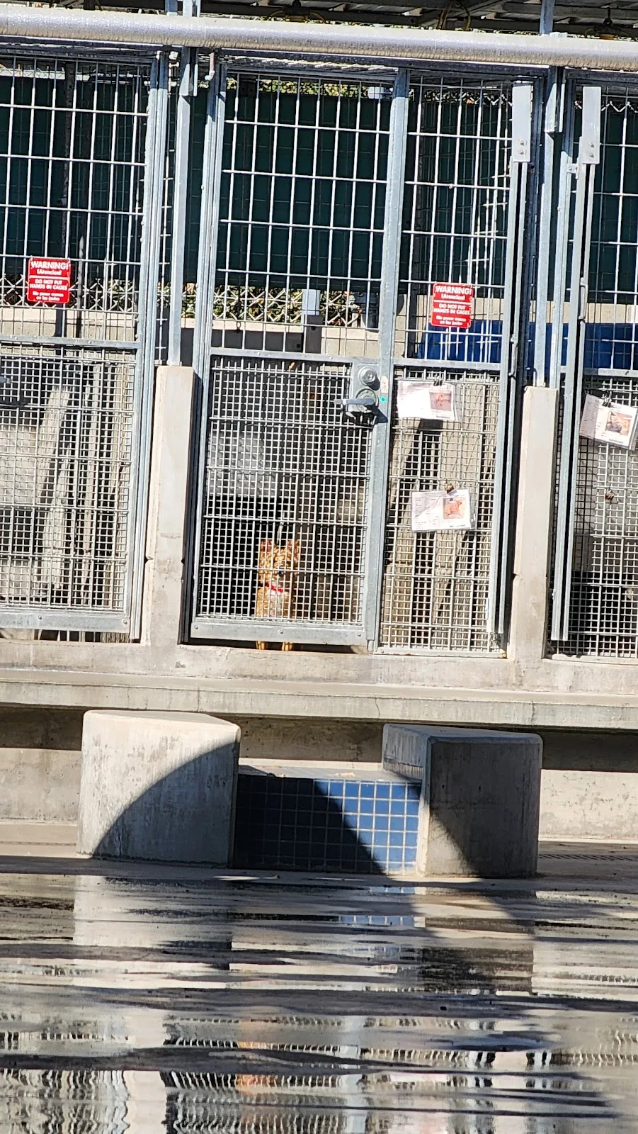 North Central Animal Shelter